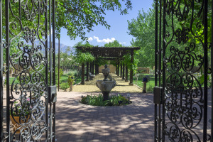 About - Casa Gallery - Welcome - Welcome - Casaperea_8076-Medium.jpg About/Casa Gallery/Welcome/Casaperea_8076-Medium.jpg